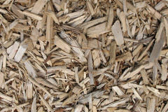 biomass boilers Chaceley Stock